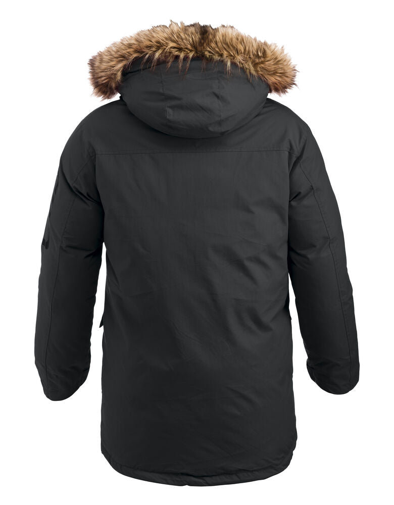 Malamute von Clique – Black