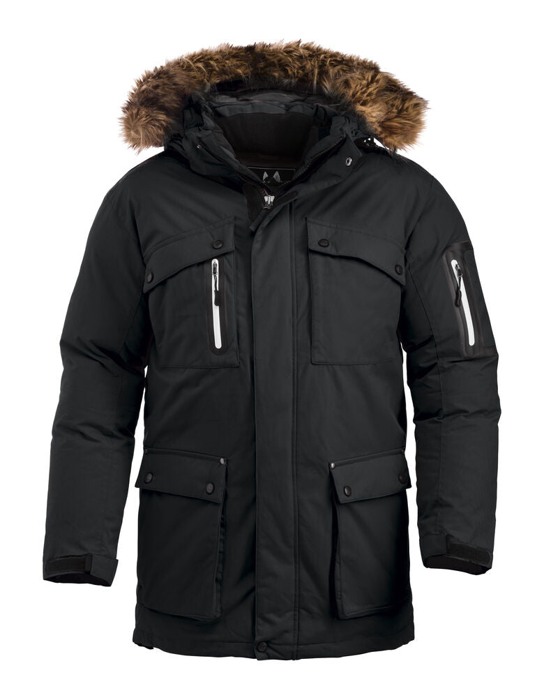 Malamute von Clique – Black