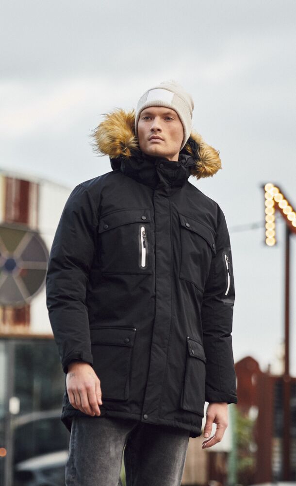 Malamute von Clique – Black
