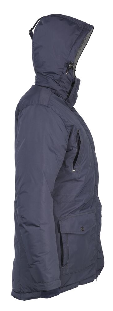 Carlton Hill Lady von D.A.D – Marine