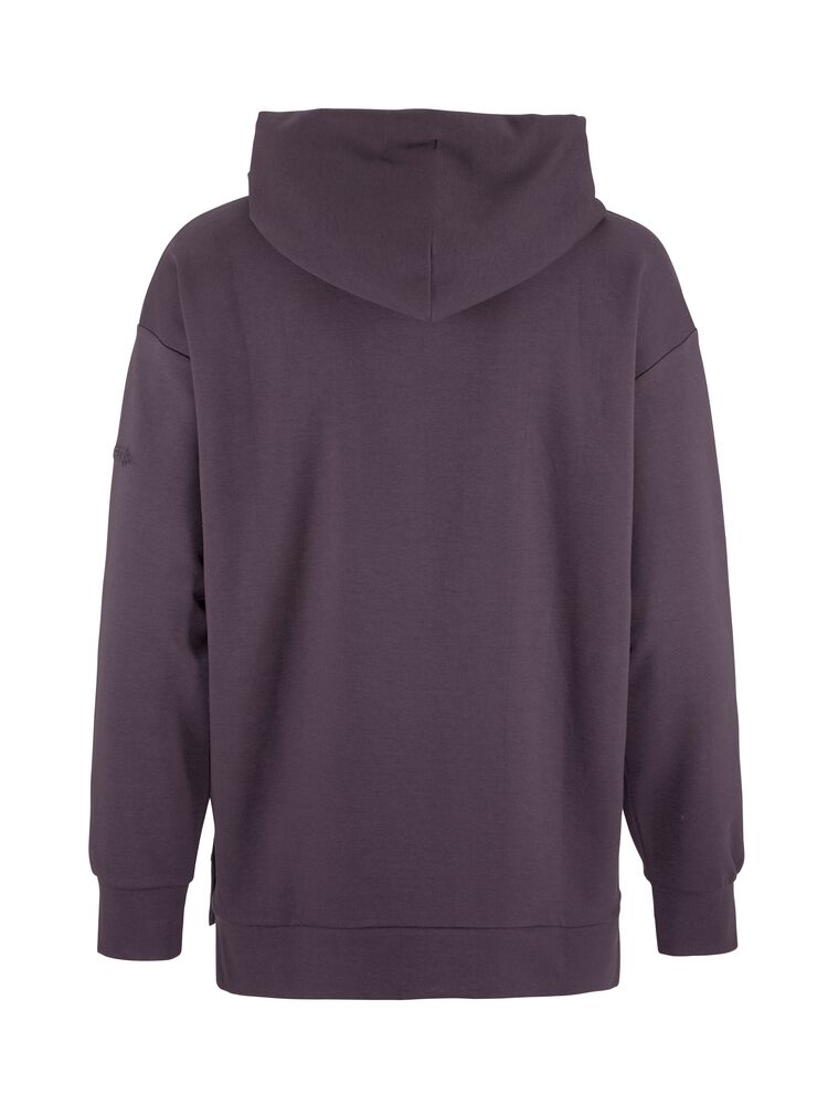 Adv Join Long Hoodie W von Craft – Plaster