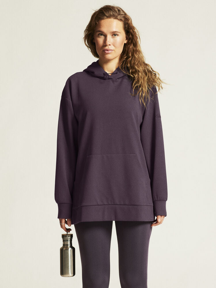 Adv Join Long Hoodie W von Craft – Plaster