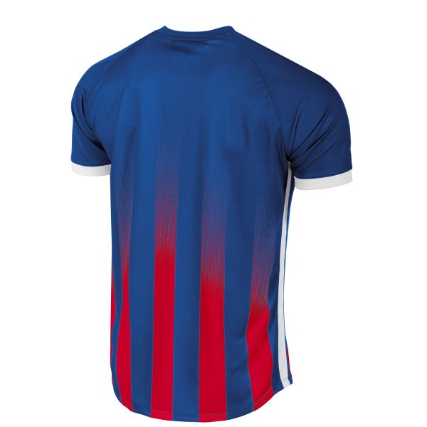 Vivid Trikot