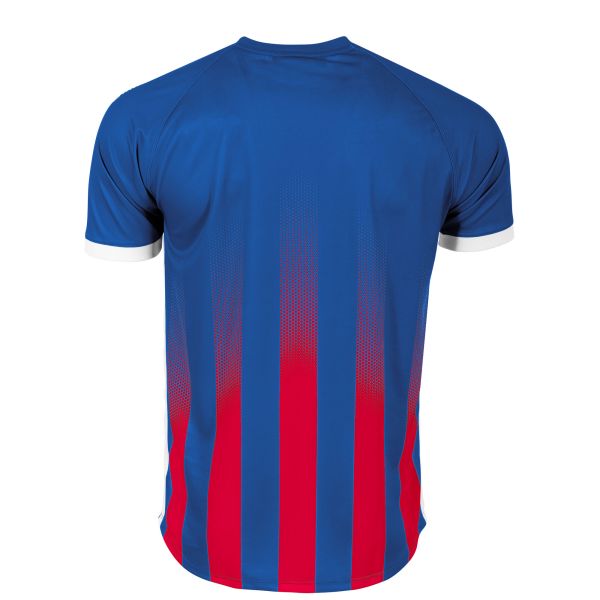 Vivid Trikot