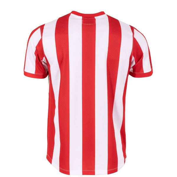 Aspire Trikot